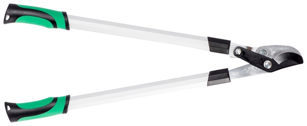 voorbeeld van een bypass takkenschaar of papegaaienbek